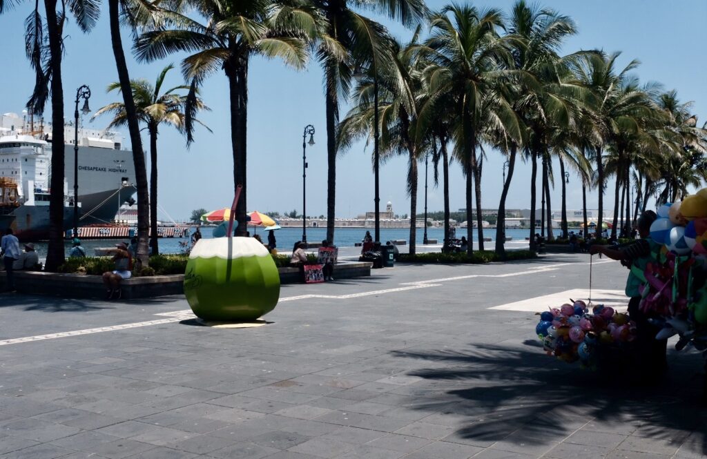 Kokosnuss Hafen Palmen Straße Vera Cruz Spielzeugverkauf