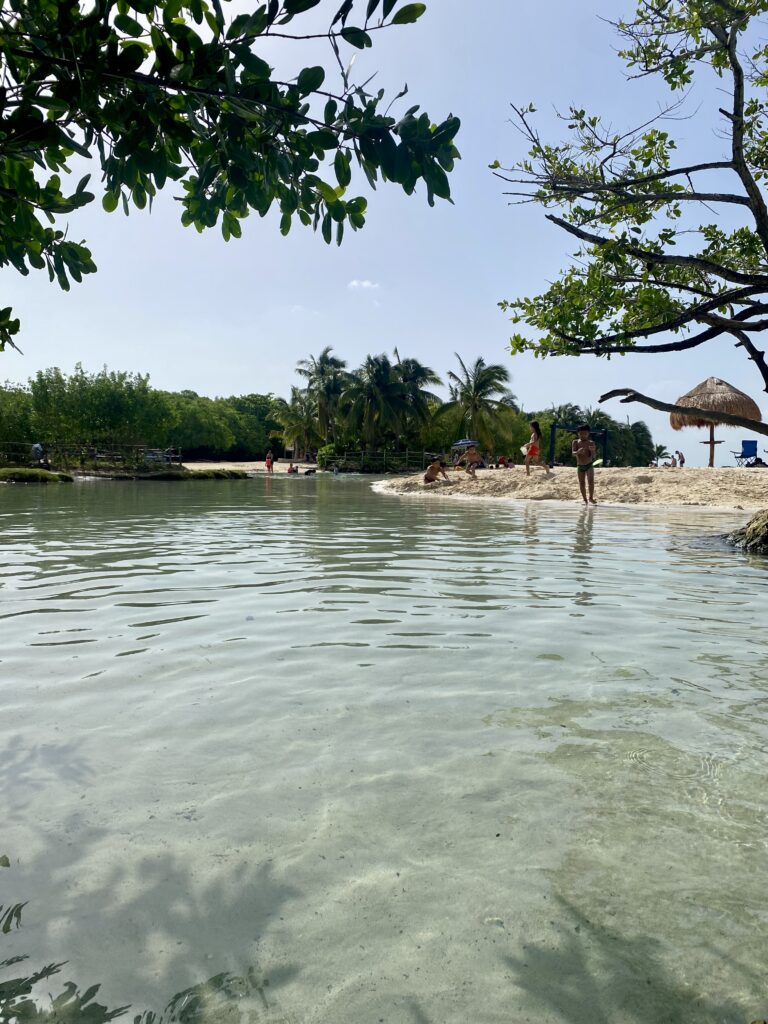 Kühler Schwefelhaltiger Süßwassersee Cenote Playa del Carmen Strand