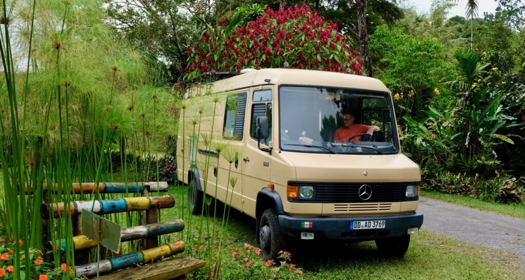 Stellplatz Sitio Barilles - neben Papyrus Pflanzen