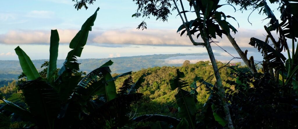 Sonnenaufgang an der Finca Don Vincente in Monte Lirio