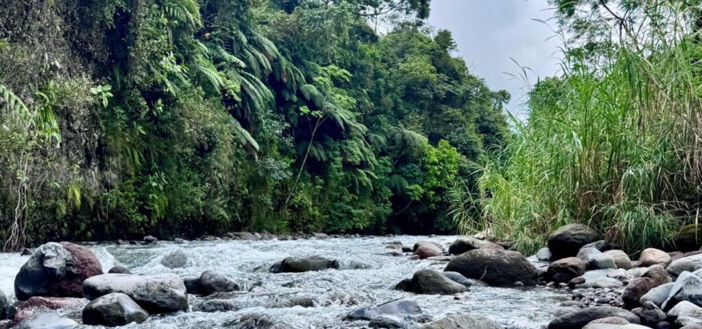 Rio Piedro ist nach dem Regen wieder glasklar