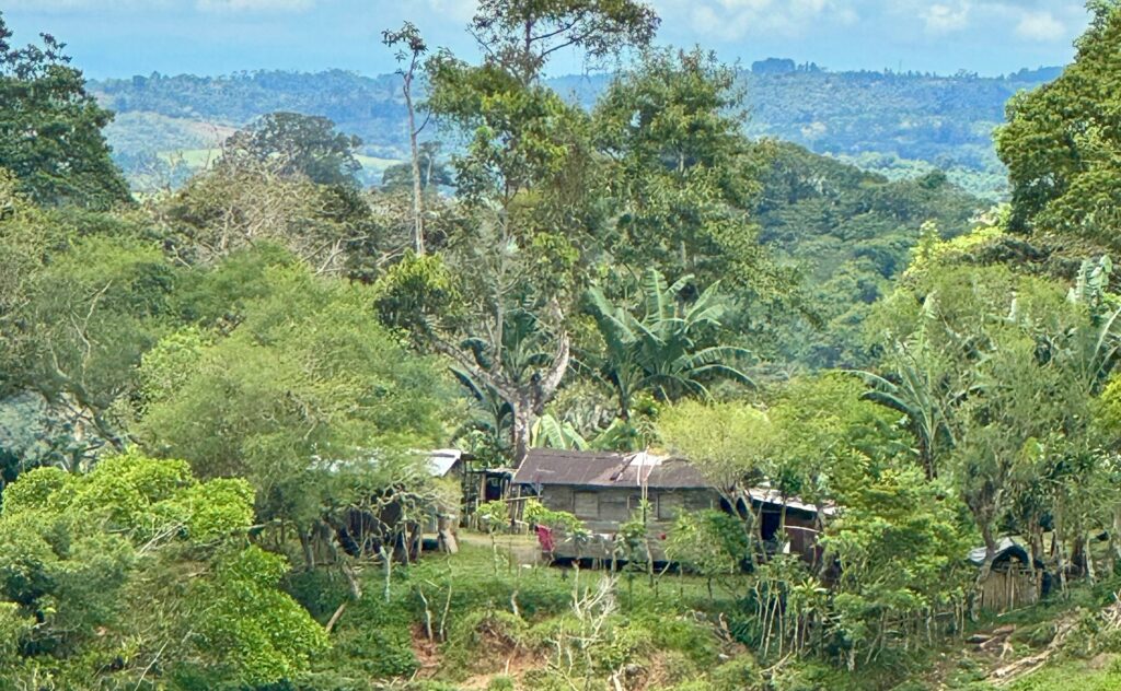 Don Vincente Kaffee Plantage - Nähe Santa Clara (Vía Volcán 43)