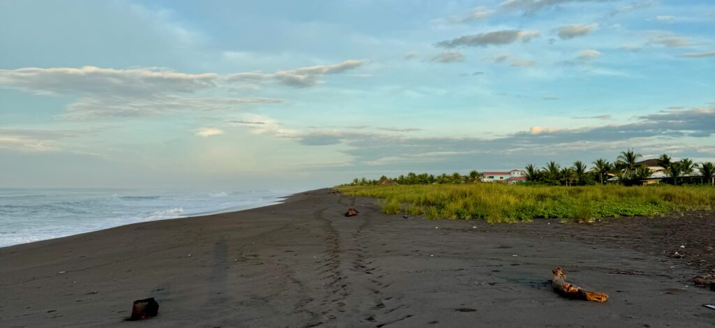 Strand von David Panama aus