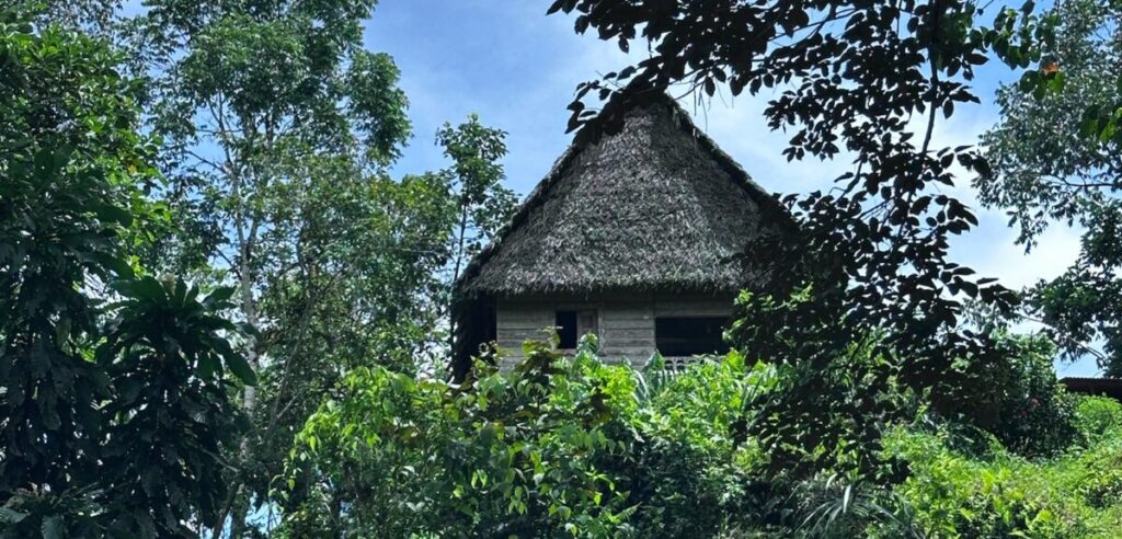 Hütte im Dschungel - Bocas del Toro