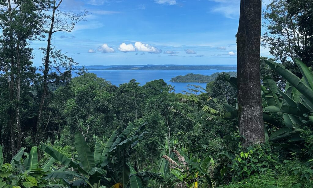 Bocas Del Toro - Karibik Blick - Straße nach Risco