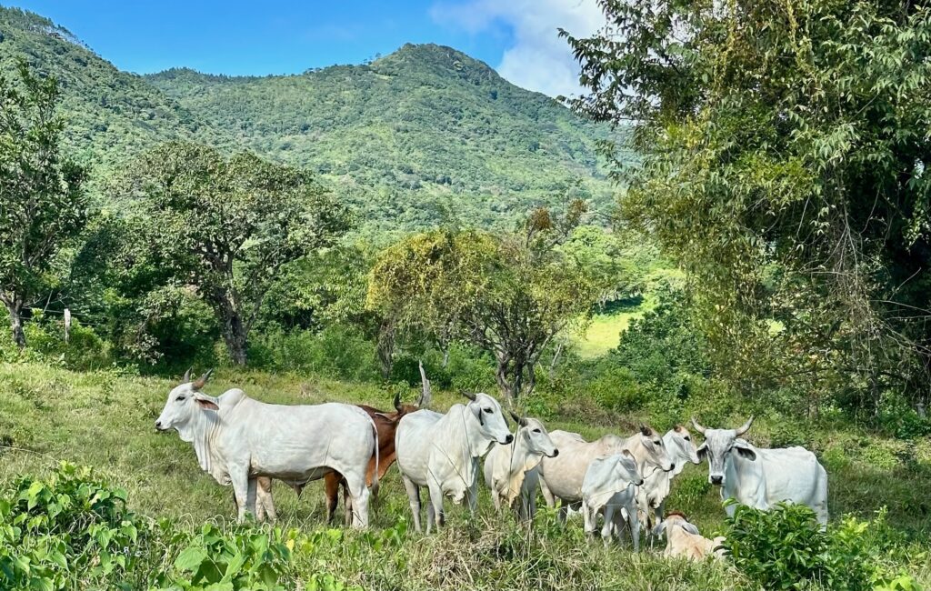 Stadtflucht - Auf dem Weg zur Kaskade