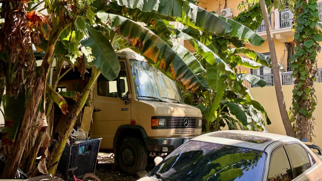 Stellplatz Santa Ana unter Bananenpalmen
