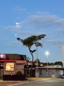 Morgen mit Vollmond in Panama