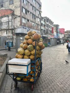 Pipa Fría, kalte Kokosnuss in Panama