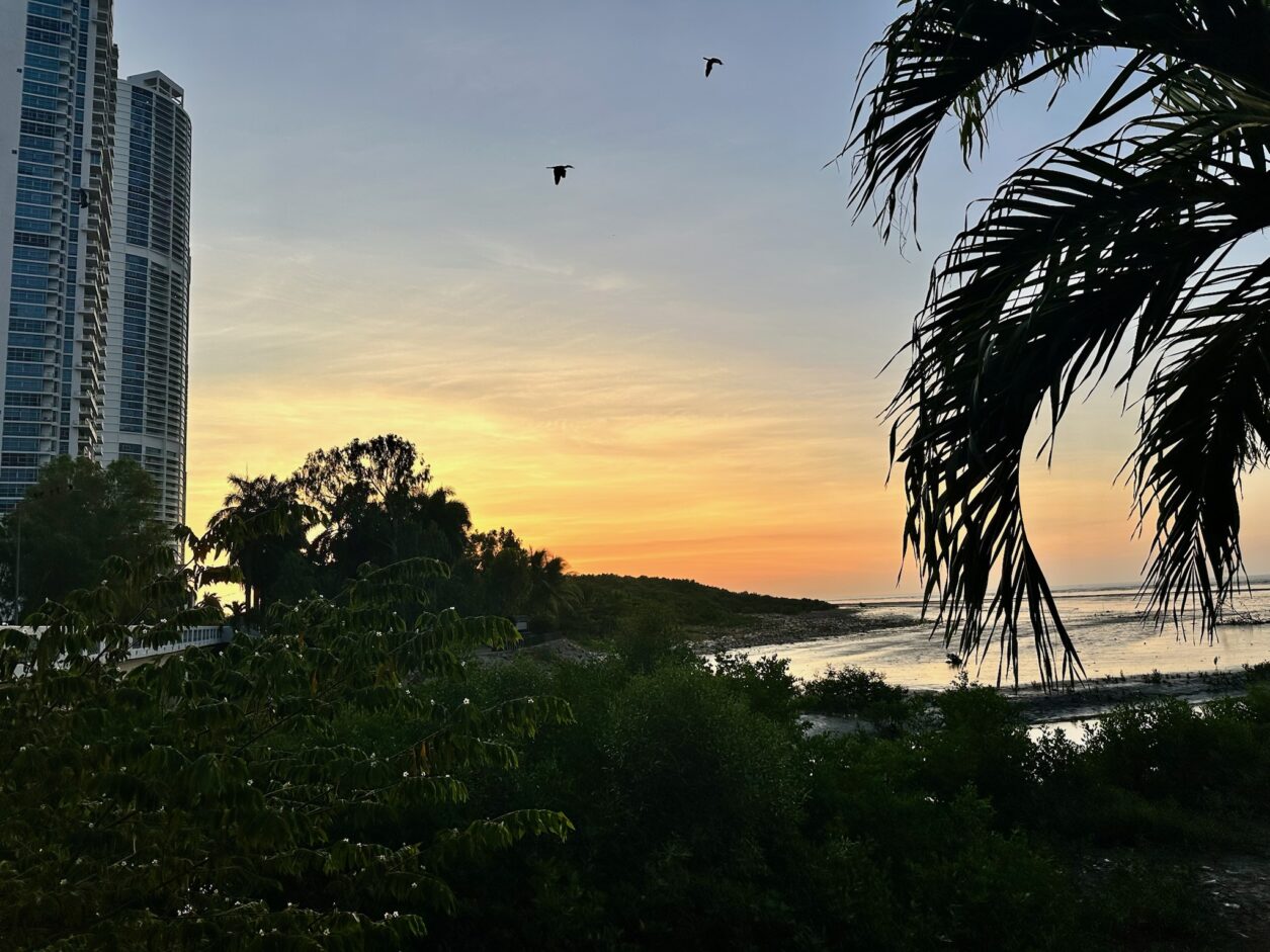 Sonnenaufgang in Costa del Este, Panamá