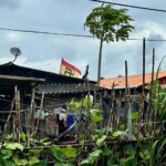 Traditioneller Garten auf San Blas