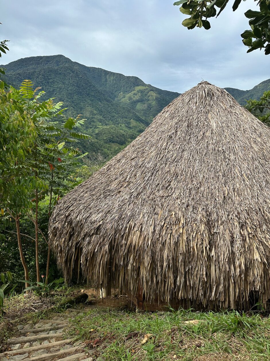Palmenhütte in Tierra del Aqua