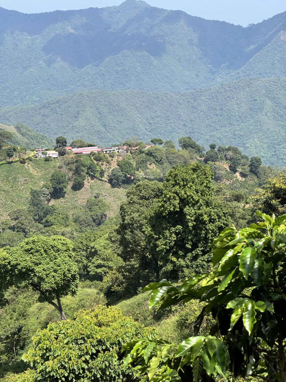 Blick auf San Pedro de la Sierra Nevada