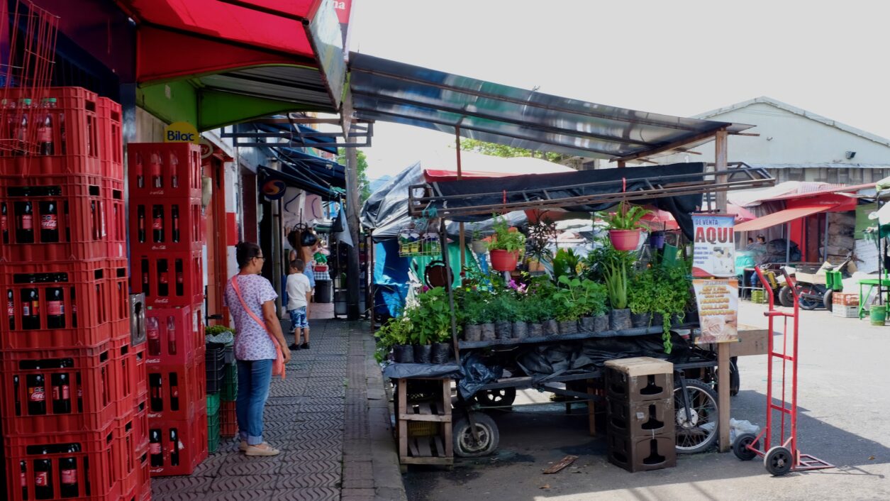 Villavicencio - Kräuterkarren am Markt