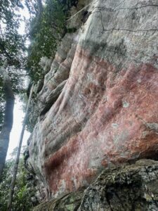 Serranía de La Lindosa - Cerro Azul - Höhlenmalerei