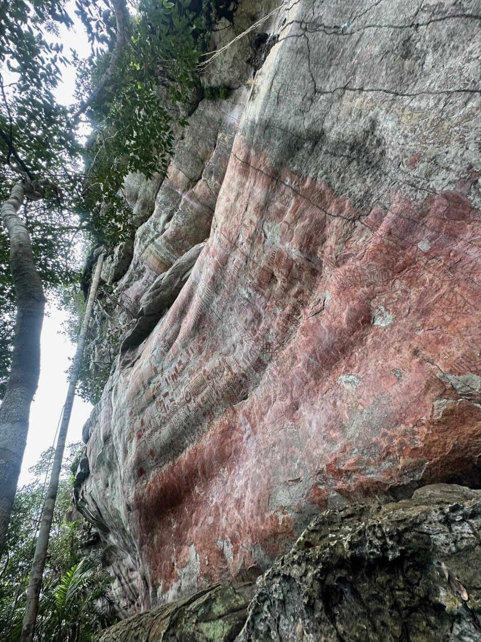 Serranía de La Lindosa - Cerro Azul - Höhlenmalerei