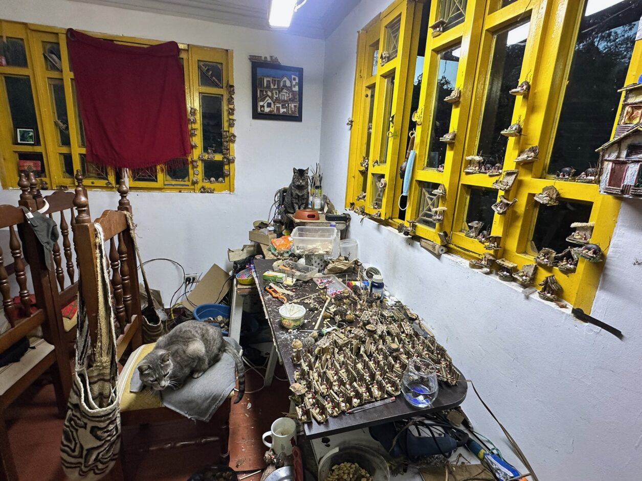 Haus eines Kunst Handwerkers - Ruta de las Artesanias - Salento